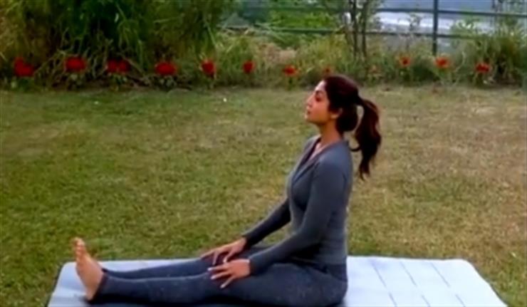 Shilpa Shetty Yoga - Latest News, Photos and videos of Shilpa Shetty Yoga |  Bollywood Life