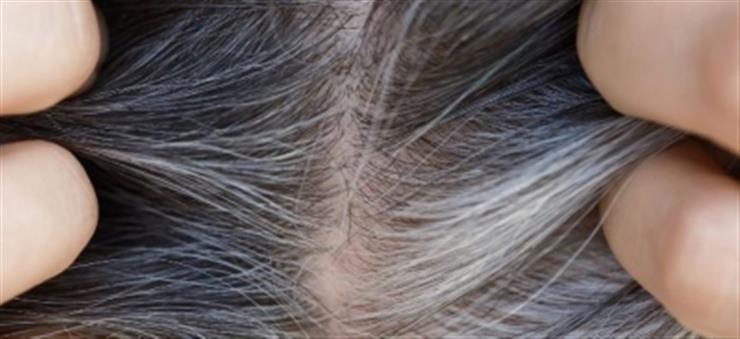What To Do When You Start Seeing Grey Hairs  My Hairdresser Australia