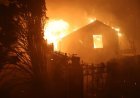 Wildfires ravage US, force mass evacuations