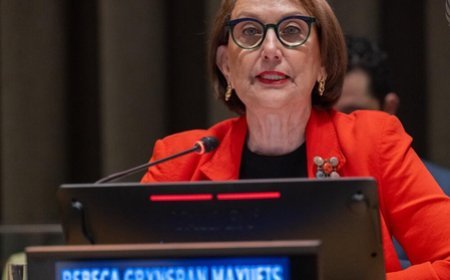 UNSC will carry weight if it represents today's world, says UN secretary-general candidate Grynspan