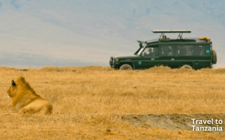 Tanzania Travel Guide: Safari, Mountain, and Ocean Adventure Together: