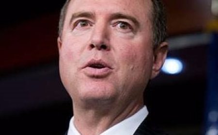 US democrats seek probe into visa curbs 