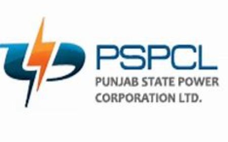 PSPCL agrees to consider  power engineers demand in time bound schedule