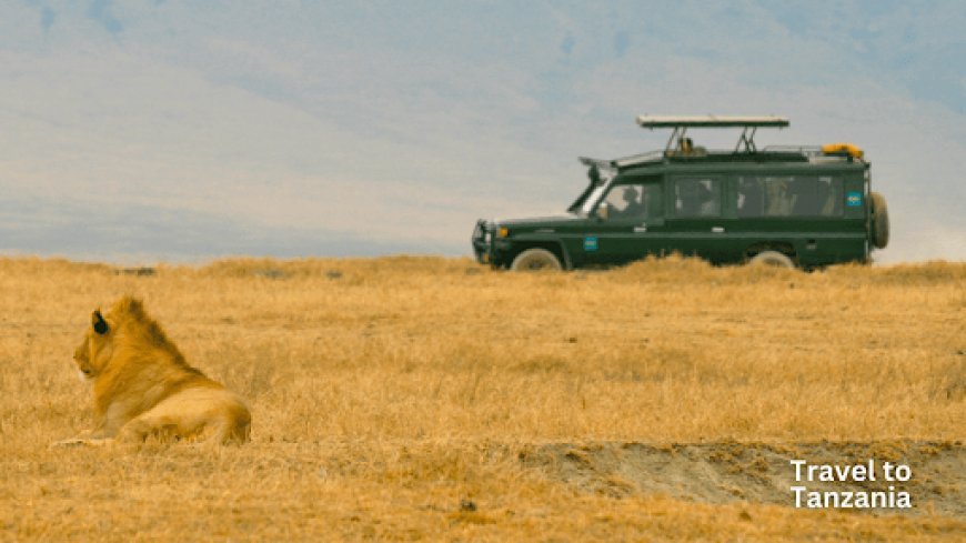 Tanzania Travel Guide: Safari, Mountain, and Ocean Adventure Together: