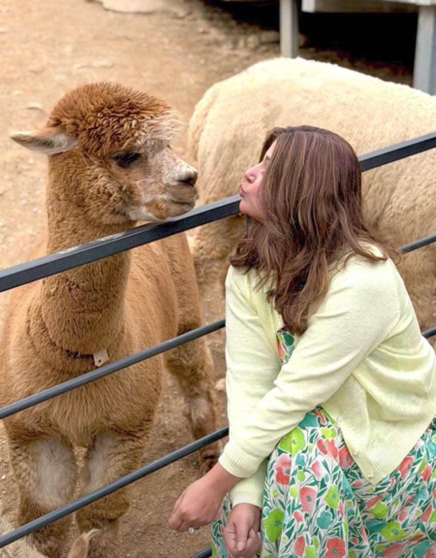 Hina Khan spends time with alpacas during her exotic South Korea trip