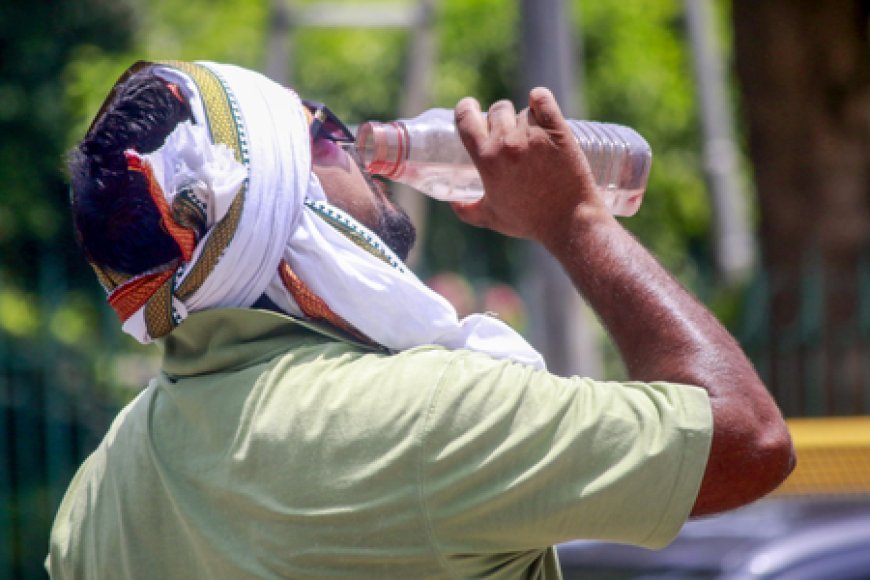 Severe heatwave grips North India; IMD issues alert