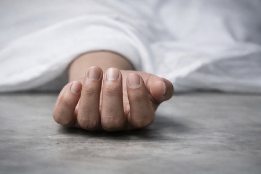 K’taka: 7 dead as hospital’s compound wall collapses amid heavy rain 