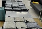 Hydroponic marijuana worth Rs 34.9 crore seized at Delhi airport from Bangkok passengers 