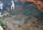 Woman, 3-month-old baby abducted by armed men in MP's Shivpuri; probe underway