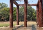 Chhatbir Zoo ensures comprehensive arrangements for providing respite to animals from scorching summer heat: Lal Chand Kataruchak