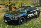 Canadian police arrests 17 members of international criminal group targetting South Asian community 