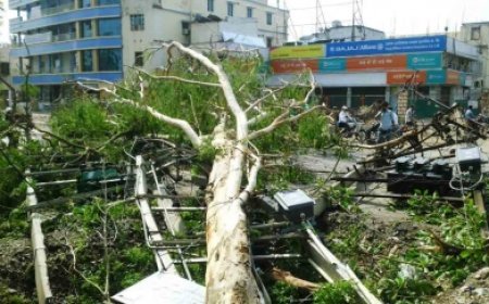 Sudden weather shift brings relief from heat, storm havoc leaves 13 dead in Bihar