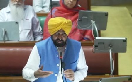 Punjab Congress demands alcohol, dope tests of all Assembly members, including CM Mann