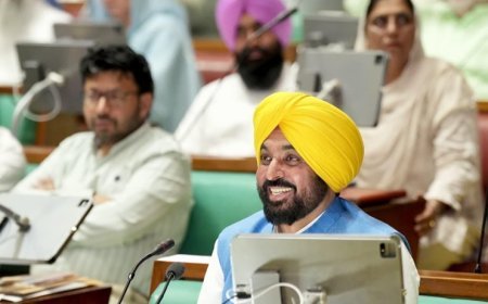 Bhagwant Mann Govt wins Confidence Motion in Punjab Vidhan Sabha