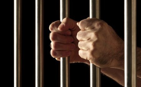 NCB secures 10-year jail for 2 poppy straw smugglers held in Gujarat in 2022