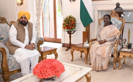 Punjab CM Bhagwant Singh Mann meets President, demands cancellation of membership of ‘Punjab de Gaddar’ Rajya Sabha MPs