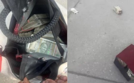 Two bags containing cash thrown from ninth floor of Mohali flat in ED raid 