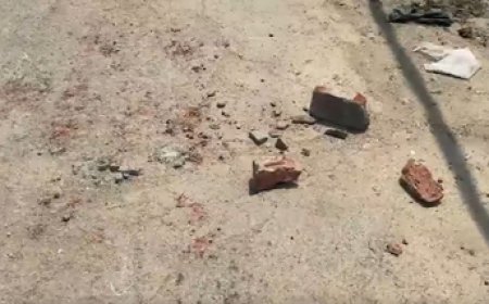 Delhi: 18-year-old murdered in Bhalswa dairy, FIR registered 