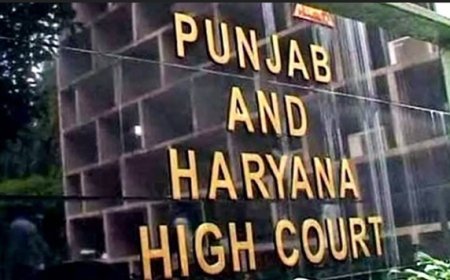 HC seeks Punjab govt's stand on withdrawal of RS MP Rajinder Gupta's security cover