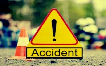 Three killed as pickup truck overturns in MP's Bhind