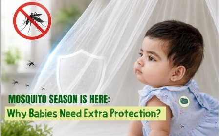 Mosquito Season Is Here: Babies Need Extra Protection