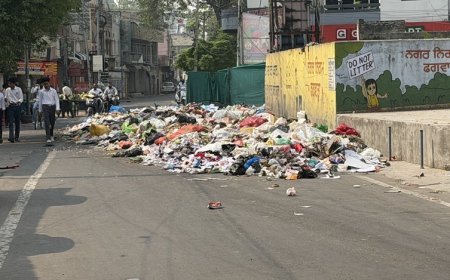 Municipal Employees’ Strike Enters Third Day in Phagwara; Garbage Heaps Trigger Public Concern