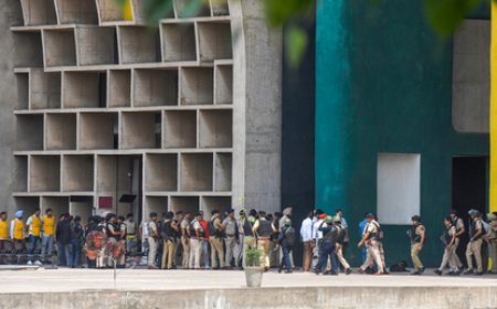 High Court stays felling of trees for flyover in Chandigarh