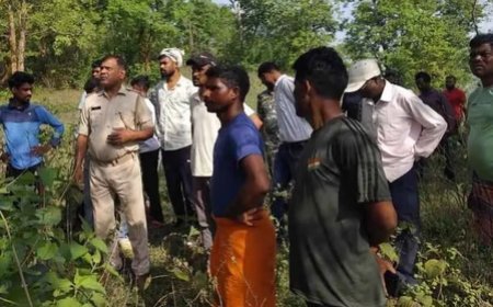 DRDO employee posted in Bengaluru found hanging from tree in Jharkhand's Ramgarh