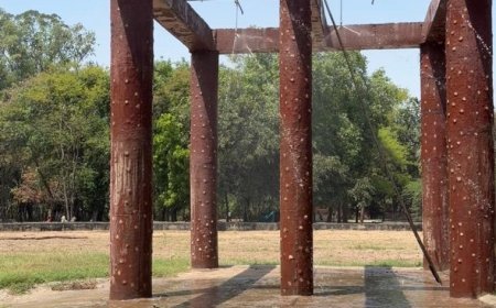 Chhatbir Zoo ensures comprehensive arrangements for providing respite to animals from scorching summer heat: Lal Chand Kataruchak
