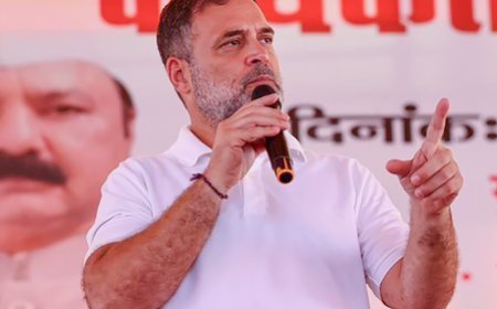 'Directionless after electoral defeats': Gujarat BJP leaders attack Rahul Gandhi over 'traitor' remarks