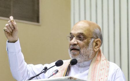 Each infiltrator will be weeded out 'one by one': HM Amit Shah