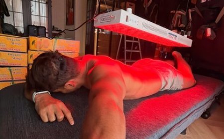 Harshvardhan Rane's tip on muscle building: ‘Mangoes choona allowed nahi hai’ 