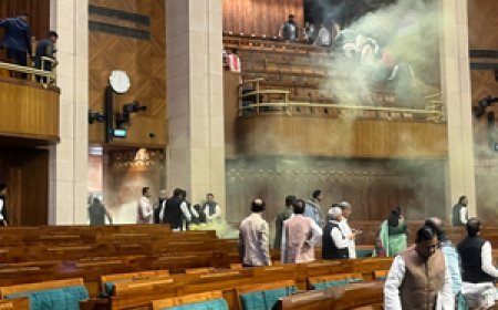 Delhi Police file 14,000-page supplementary chargesheet in 2023 Parliament breach case