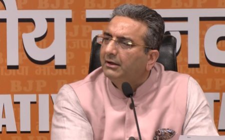 Destructive toolkit: BJP hits out at Rahul Gandhi on 'Modi govt will fall' remarks 
