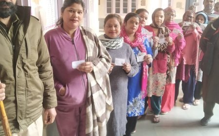Punjab civic polls see clashes, allegations of voter intimidation
