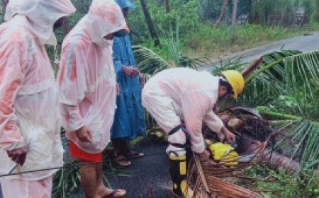 Four killed as rain, strong winds wreak havoc in Andhra