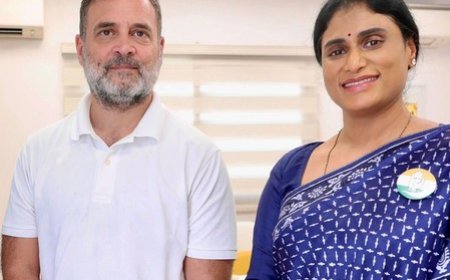 Sharmila meets Rahul Gandhi amid buzz about Rajya Sabha nomination