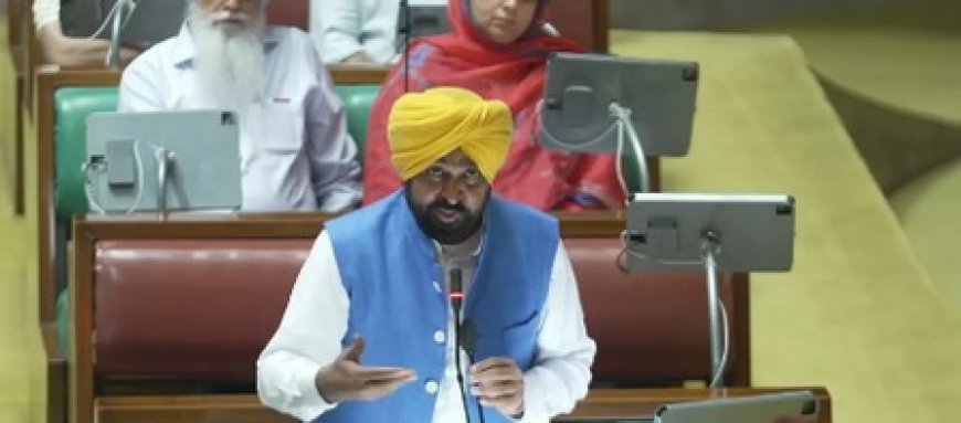 Punjab Congress demands alcohol, dope tests of all Assembly members, including CM Mann
