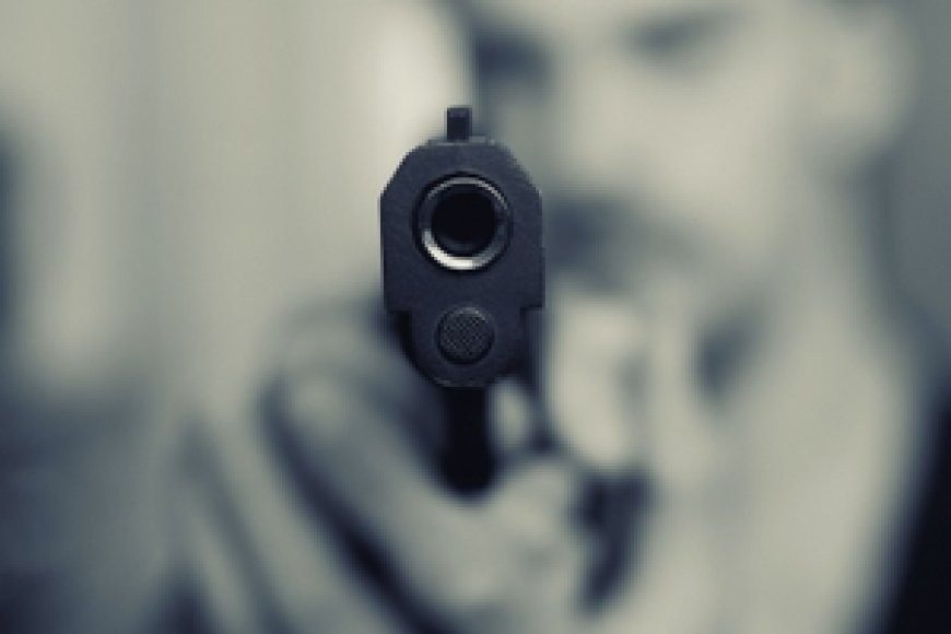 Rajasthan: Murder suspects attack police, main accused injured in encounter 