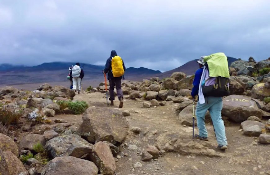 Walking Above the Clouds: A Real Story Guide to Climbing Kilimanjaro