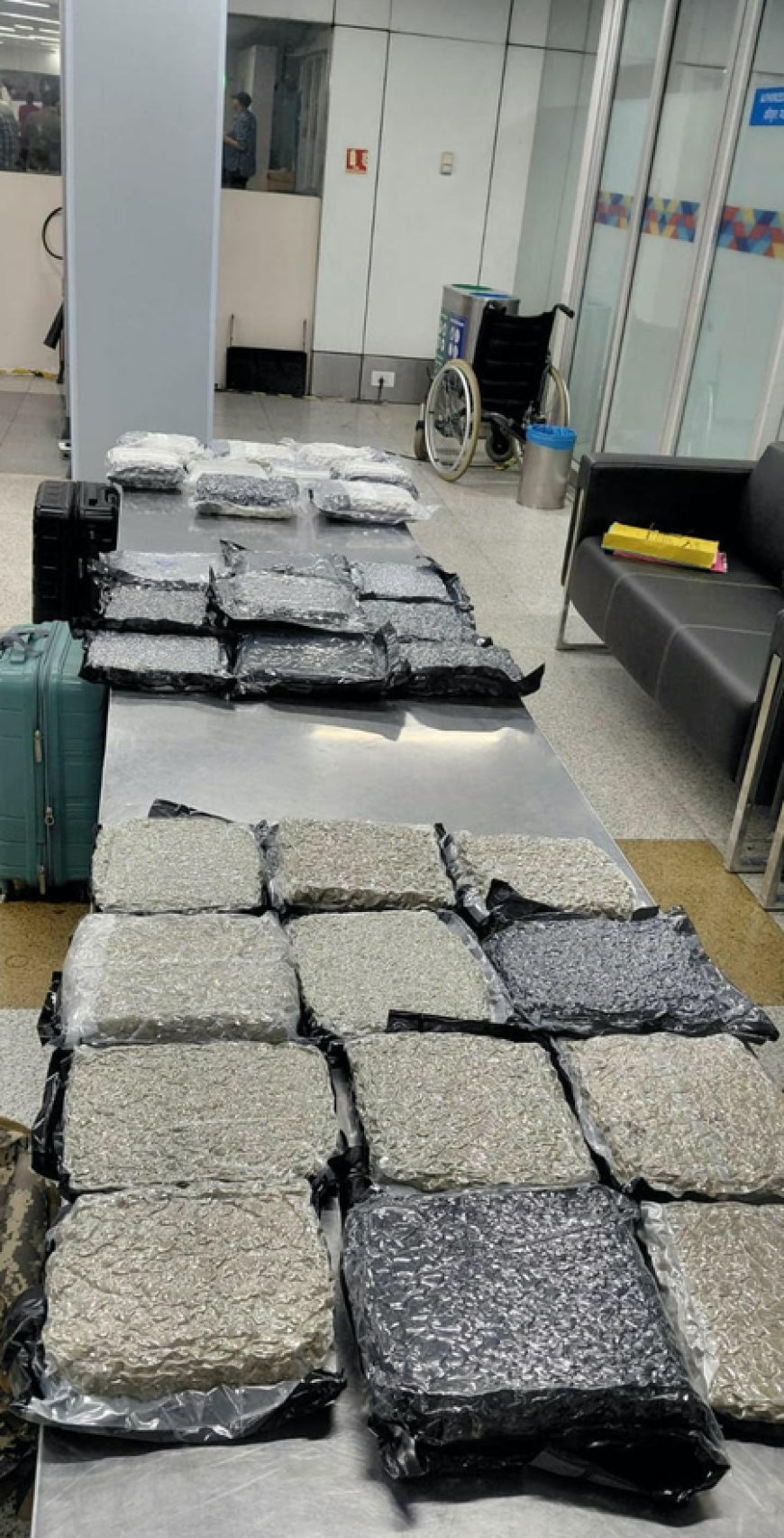 Hydroponic marijuana worth Rs 34.9 crore seized at Delhi airport from Bangkok passengers 