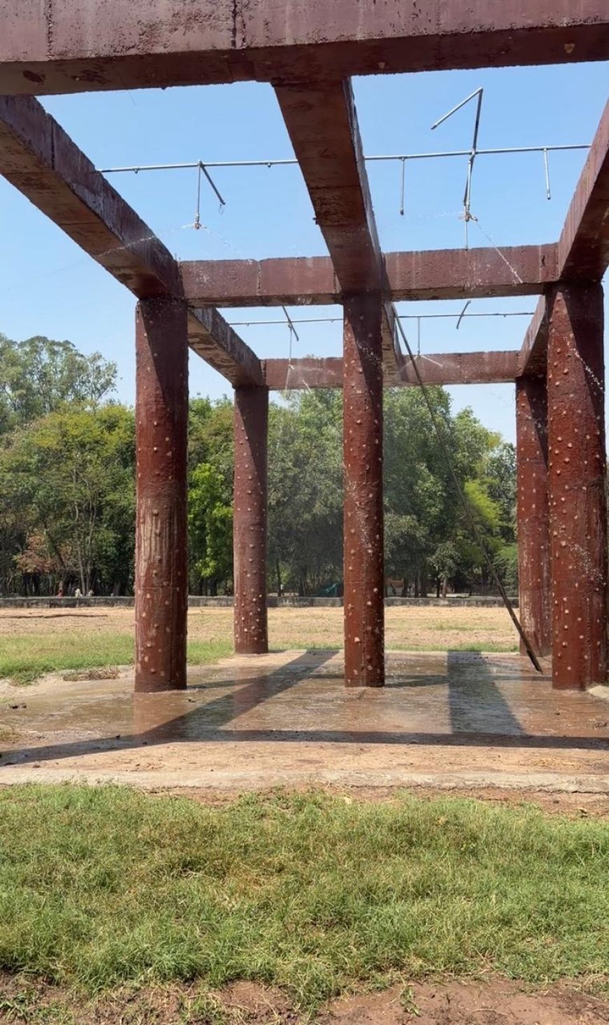 Chhatbir Zoo ensures comprehensive arrangements for providing respite to animals from scorching summer heat: Lal Chand Kataruchak