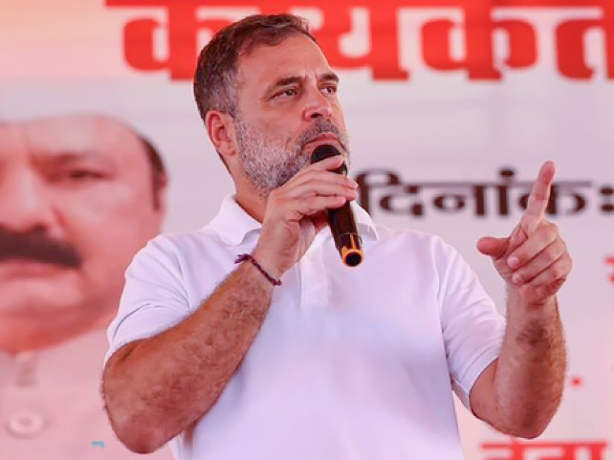 'Directionless after electoral defeats': Gujarat BJP leaders attack Rahul Gandhi over 'traitor' remarks