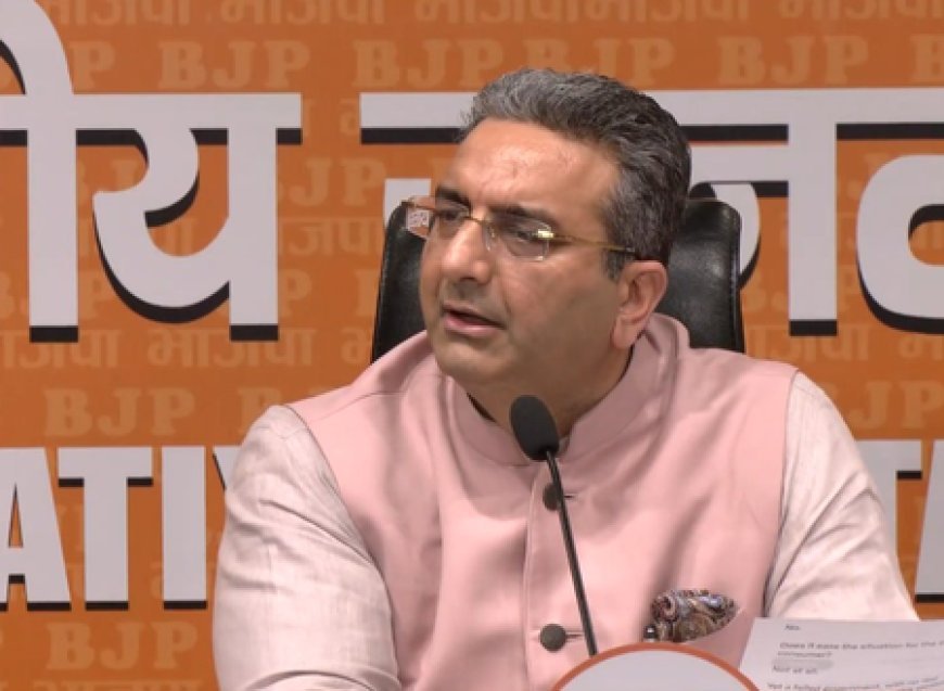 Destructive toolkit: BJP hits out at Rahul Gandhi on 'Modi govt will fall' remarks 