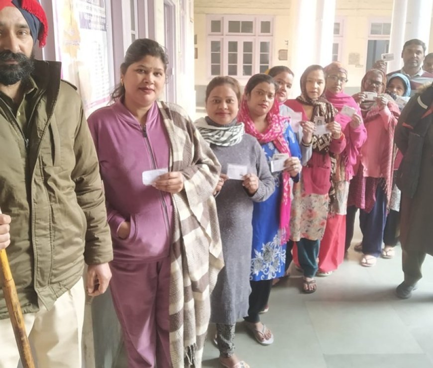 Punjab civic polls see clashes, allegations of voter intimidation