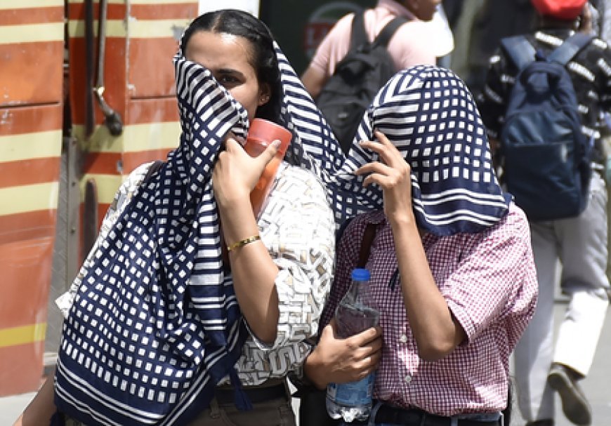 Rajasthan reels under severe heatwave as Sri Ganganagar records highest temperature at 48.2°C