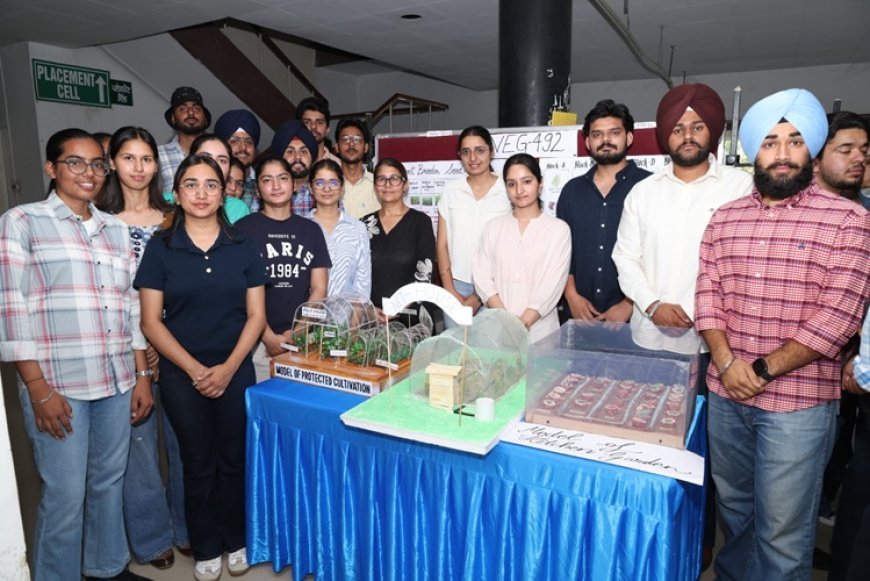 PAU students showcase innovation at experimental learning programme exhibition