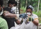 Cases of Nipah, Shigella in Kerala; health machinery on high alert