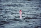 Maharashtra: Four drown at Gangapur dam; three cousins and young woman among victims