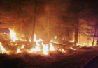 Three US wildland firefighters killed near Colorado-Utah border as western fires surge